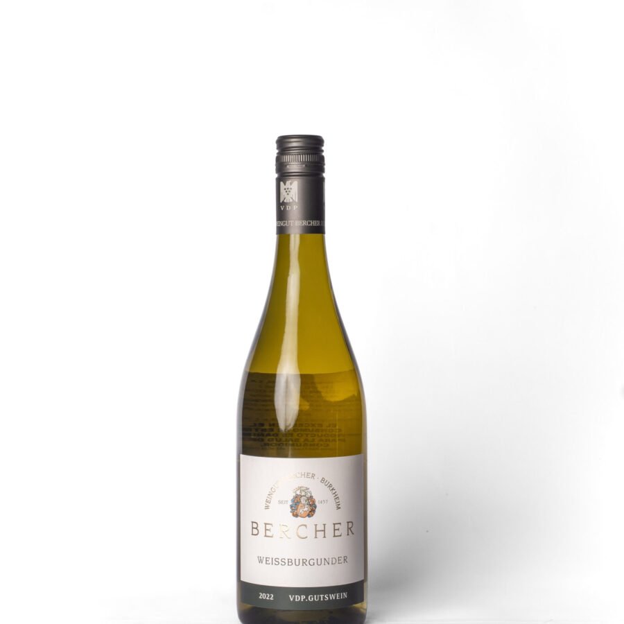 Bercher, Weissburgunder